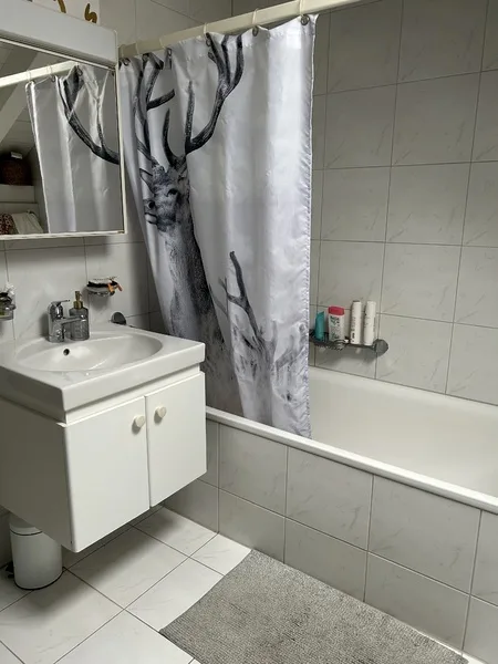 3 ZI-WOHNUNG IN LUZERN, MÖBLIERT, TEMPORÄR – Foto 9 von 9