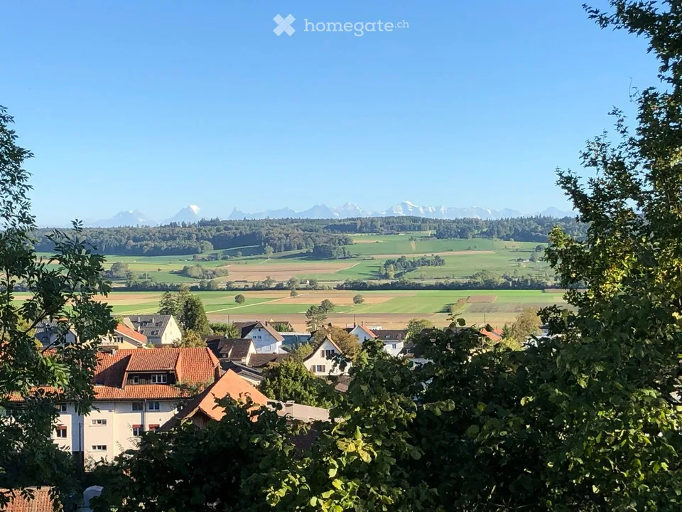 Schöne Attikawohnung über den Dächern von Selzach – Foto 9 von 9
