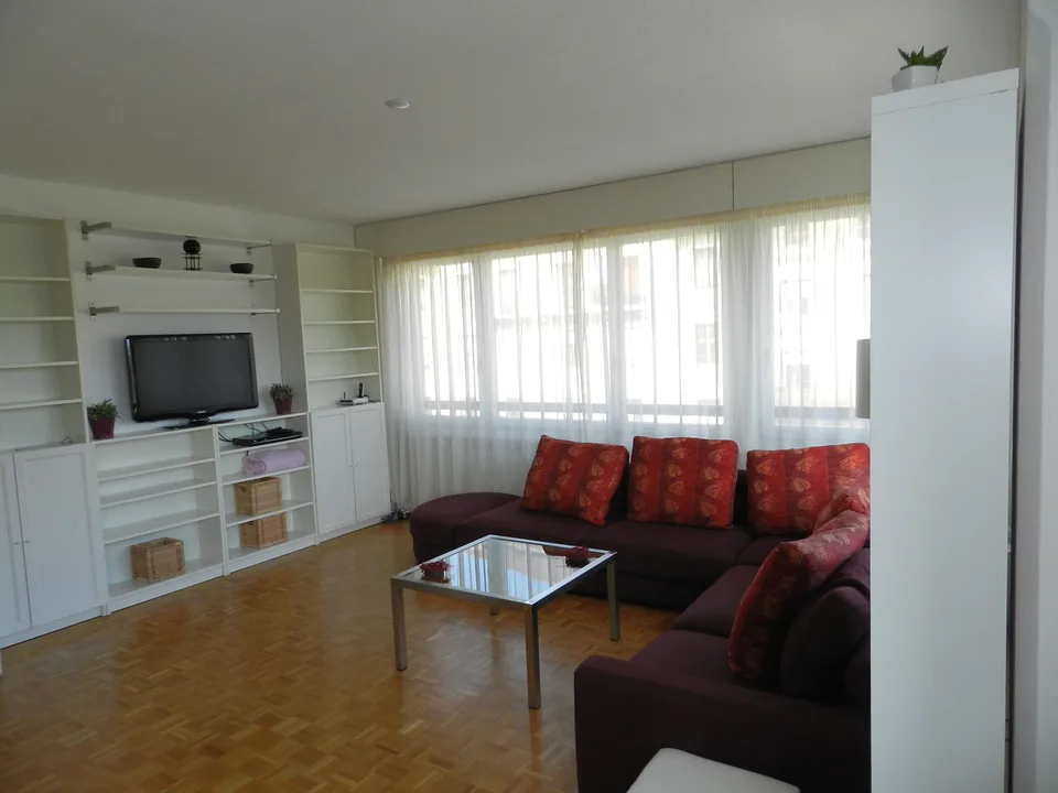 Appartement meublé, 2 chambres proche ONU – photo 4 sur 9