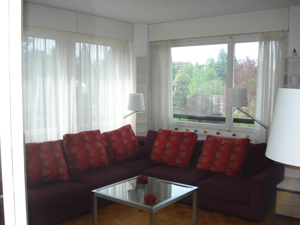 Appartement meublé, 2 chambres proche ONU – photo 7 sur 9