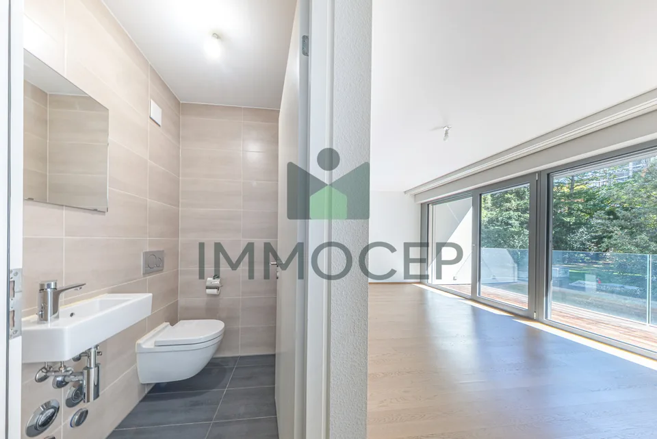 Exklusivität: Großes 4-Zimmer-Apartment mit 84 m2 Wohnfläche in den Eaux-Vives – Foto 8 von 10