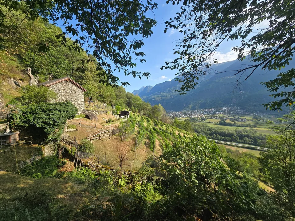 Rustico und Grotto mit grossem Grundstück und schöner Aussicht – photo 20 of 26