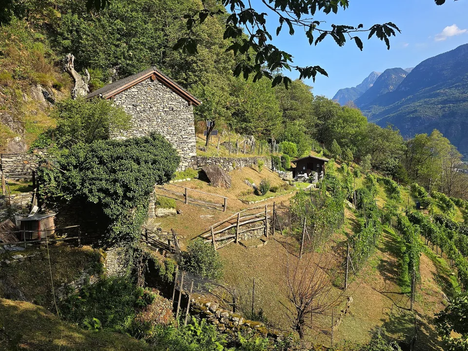 Rustico und Grotto mit grossem Grundstück und schöner Aussicht – photo 2 of 26