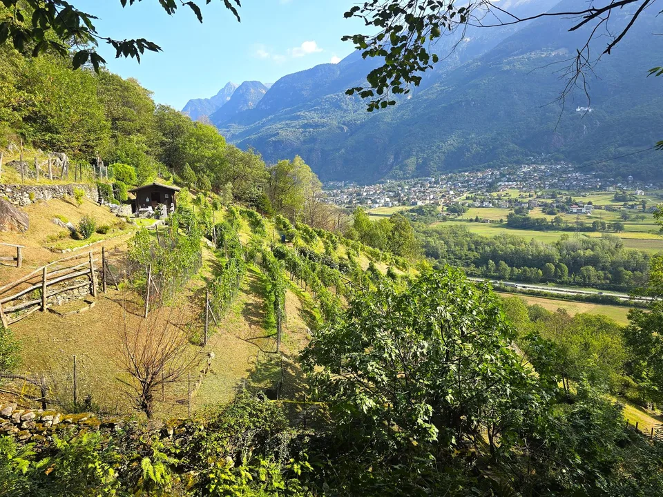 Rustico und Grotto mit grossem Grundstück und schöner Aussicht – photo 26 of 26