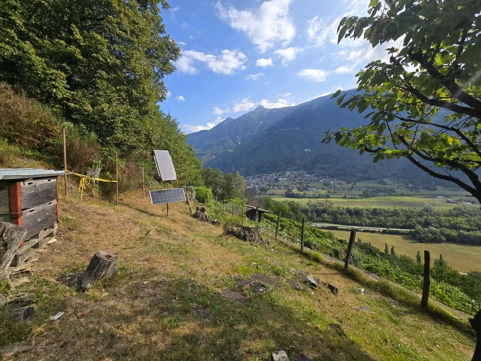 Rustico und Grotto mit grossem Grundstück und schöner Aussicht – photo 23 of 26