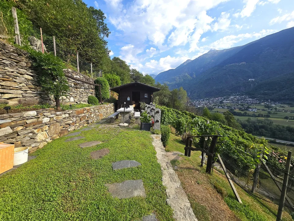 Rustico und Grotto mit grossem Grundstück und schöner Aussicht – photo 18 of 26
