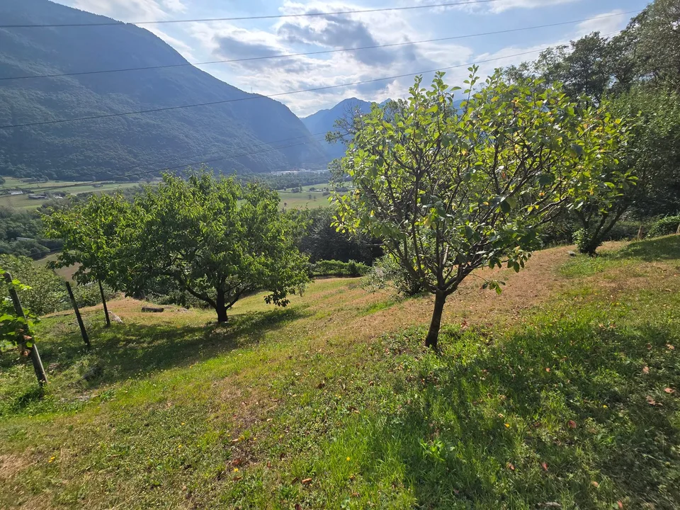 Rustico und Grotto mit grossem Grundstück und schöner Aussicht – photo 24 of 26