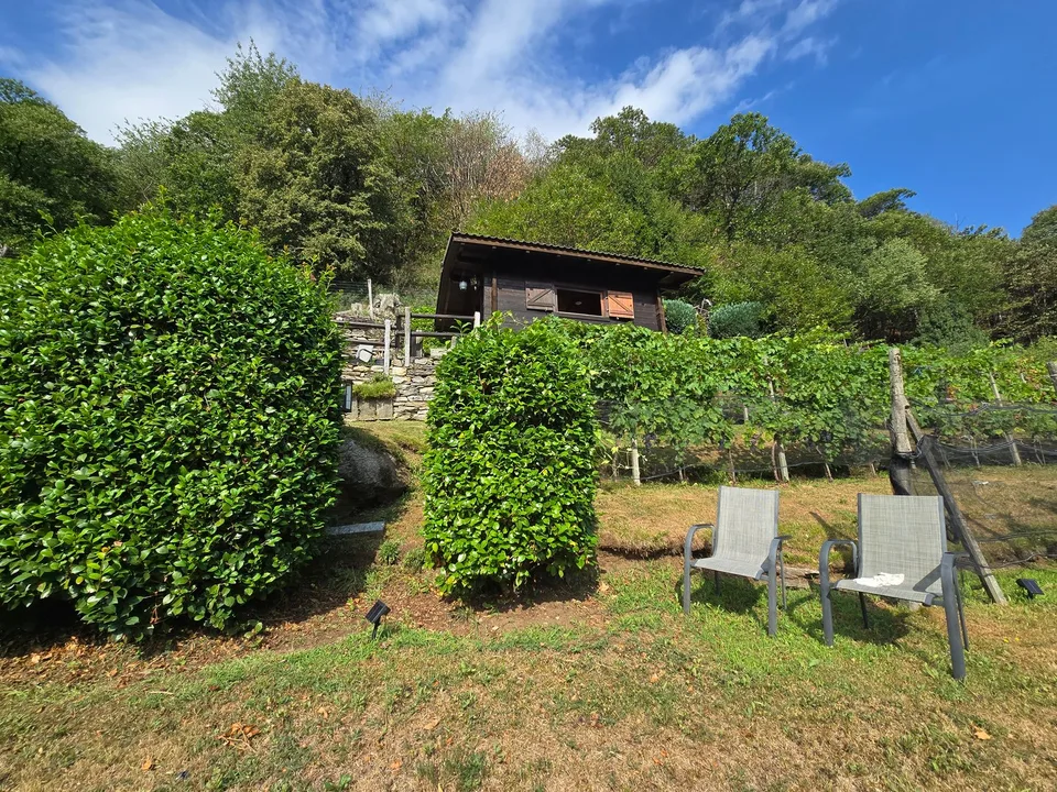 Rustico und Grotto mit grossem Grundstück und schöner Aussicht – photo 13 of 26