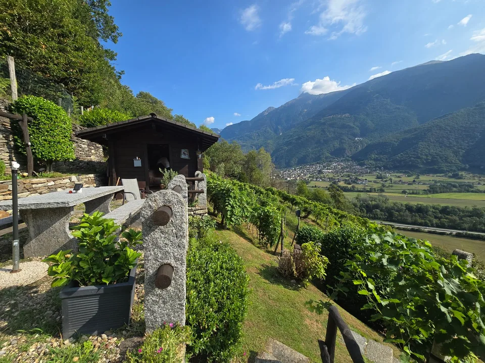 Rustico und Grotto mit grossem Grundstück und schöner Aussicht – photo 12 of 26