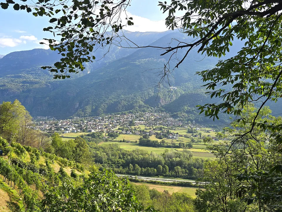 Rustico und Grotto mit grossem Grundstück und schöner Aussicht – photo 21 of 26