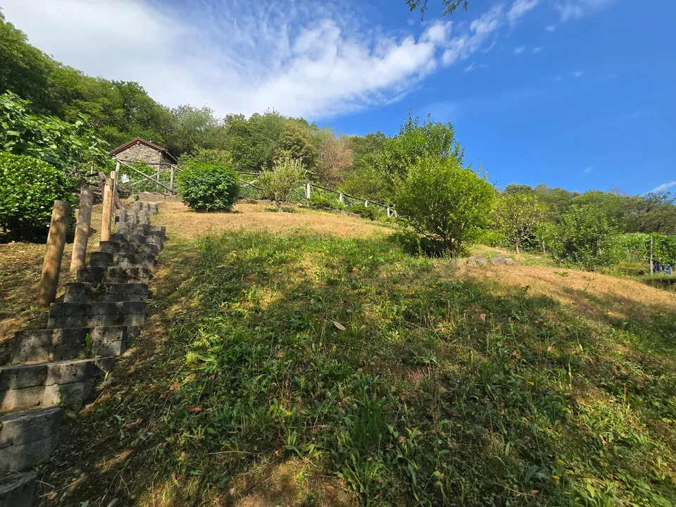 Rustico und Grotto mit grossem Grundstück und schöner Aussicht – photo 25 of 26