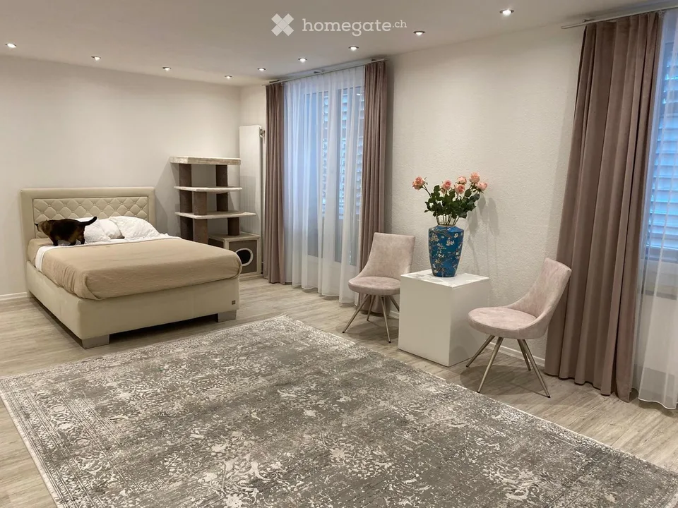 Casa residenziale e/o commerciale a Olten – foto 6 di 14