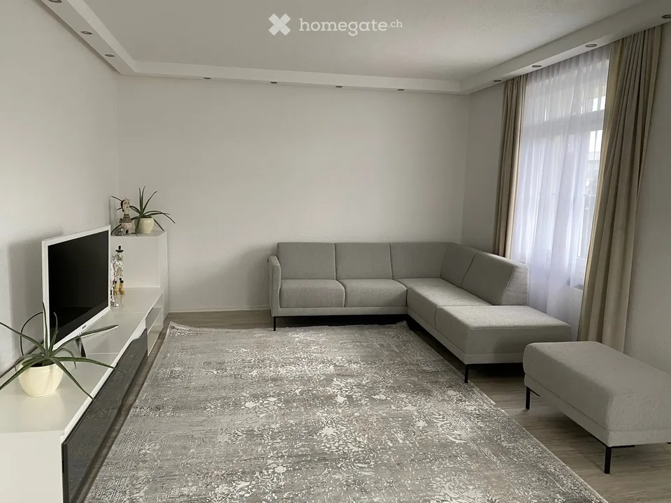 Casa residenziale e/o commerciale a Olten – foto 3 di 14