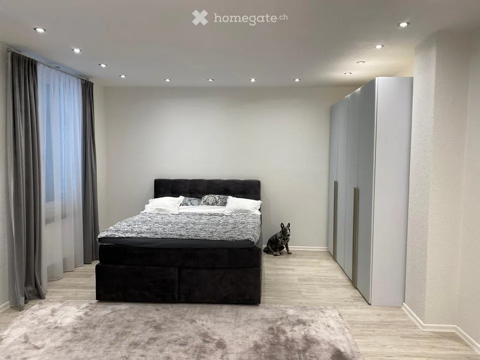Casa residenziale e/o commerciale a Olten – foto 5 di 14