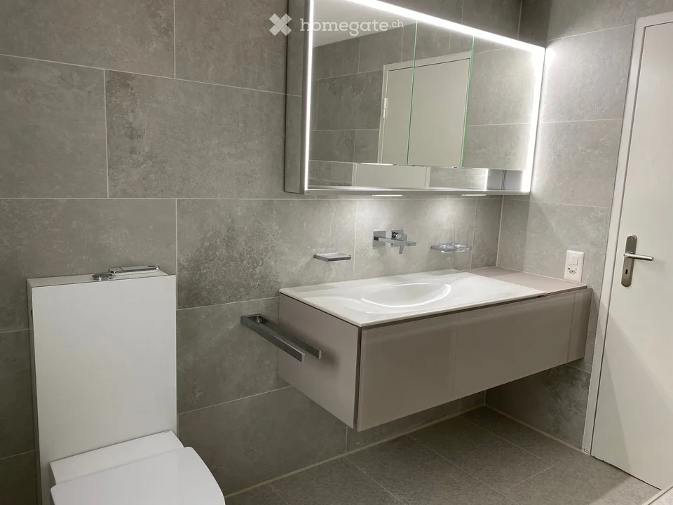 Casa residenziale e/o commerciale a Olten – foto 7 di 14