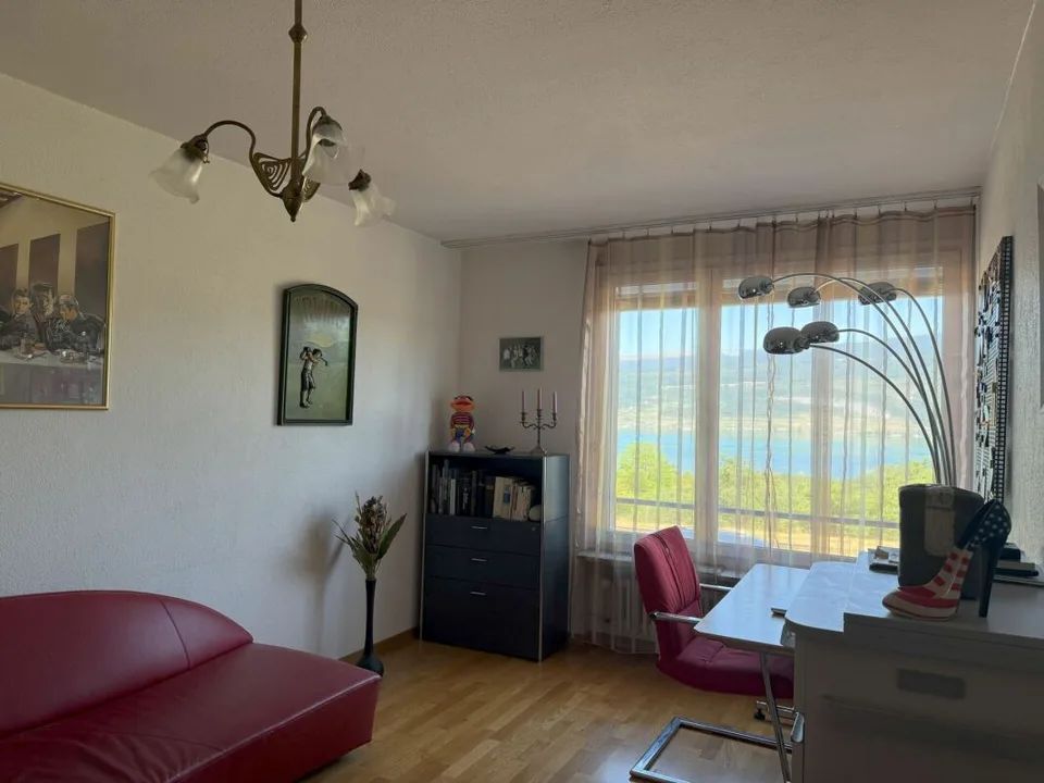 Vista ineguagliabile su gran parte del lago di Bienna – foto 11 di 21