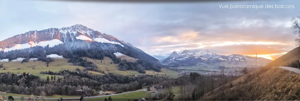 Architect-designed chalets with 4.5 rooms in Châtel-sur-Montsalvens – photo 11 of 11