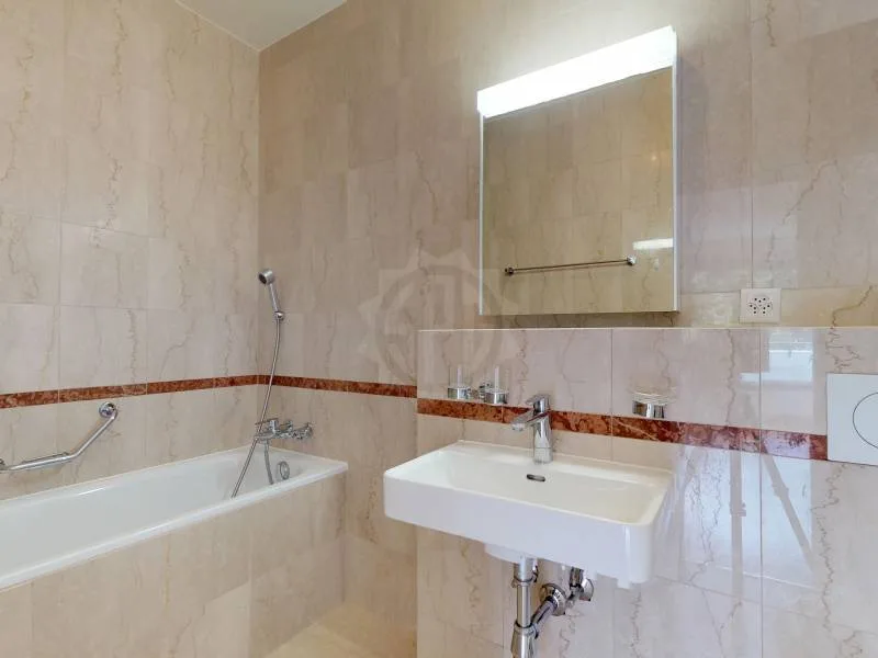 Beautiful apartment - Geneva – photo 7 of 8