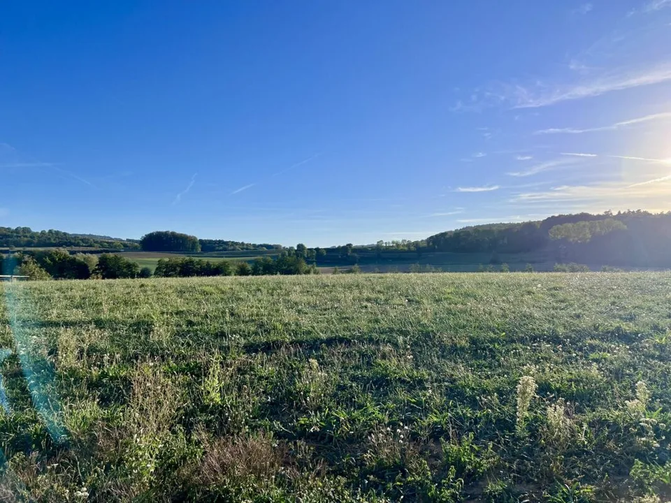 Nouveau quartier résidentiel à Frasses - Attiques de 3.5 pièces – photo 5 sur 8