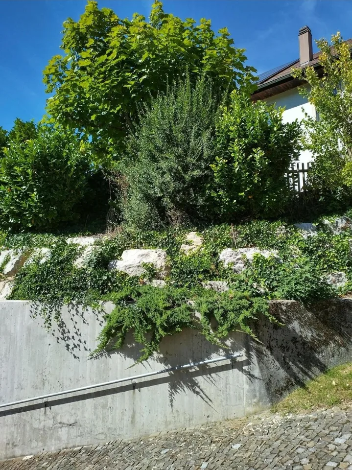 Ein Monat kostenlos! 4-Zimmer-Wohnung in Perrefitte (BE) – Foto 2 von 13