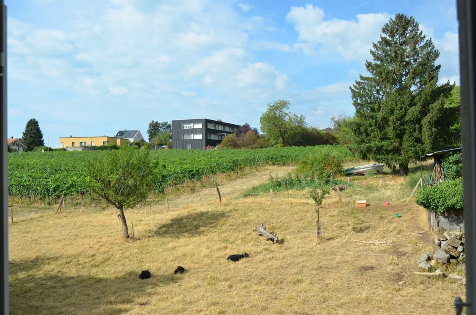 Hauterive - Dachwohnung mit Blick auf den See und die Alpen – Foto 12 von 13
