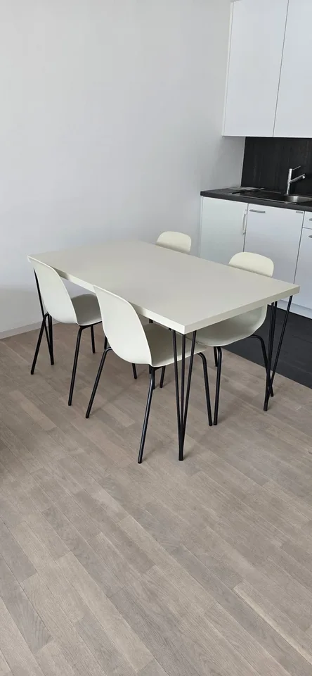 Attika mit Möbeln im Zentrum von Chiasso, verfügbar ab Januar – Foto 5 von 10