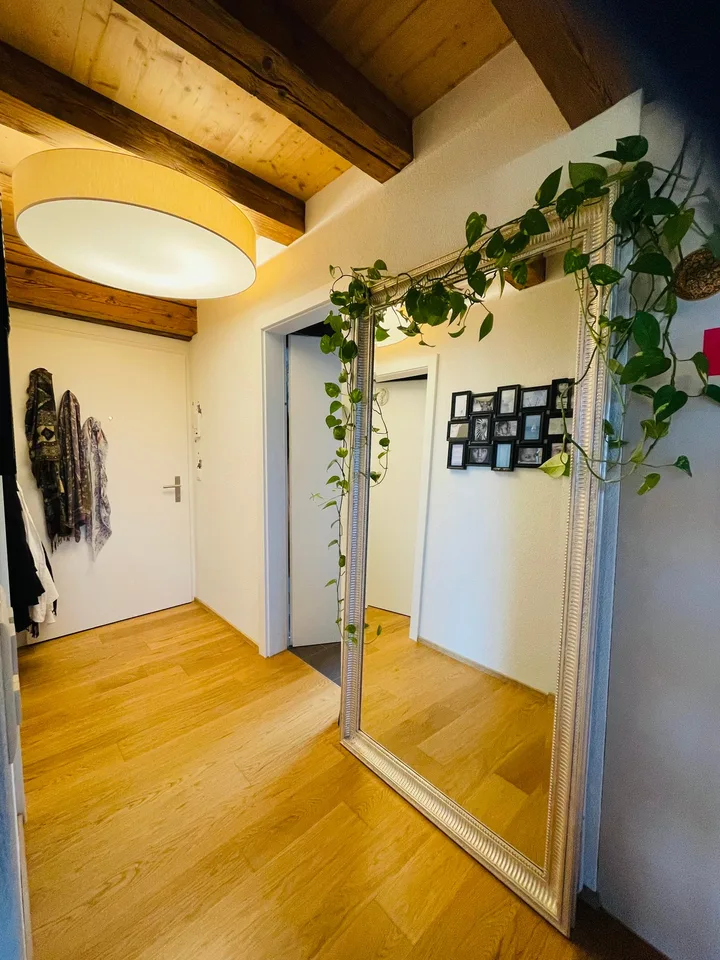 1 ZIMMER-ATTIKAWOHNUNG IN HÜTTEN (ZH), MÖBLIERT, TEMPORÄR – photo 8 of 10