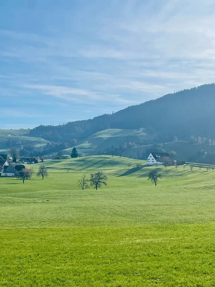 1 ZIMMER-ATTIKAWOHNUNG IN HÜTTEN (ZH), MÖBLIERT, TEMPORÄR – photo 3 of 10