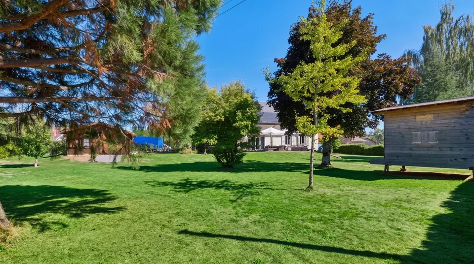 Villa indipendente su un terreno di 2'915 m², guadagni solari importanti – foto 2 di 13