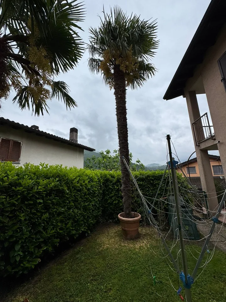 Unabhängige 5.5-Zimmer-Villa – Foto 3 von 14