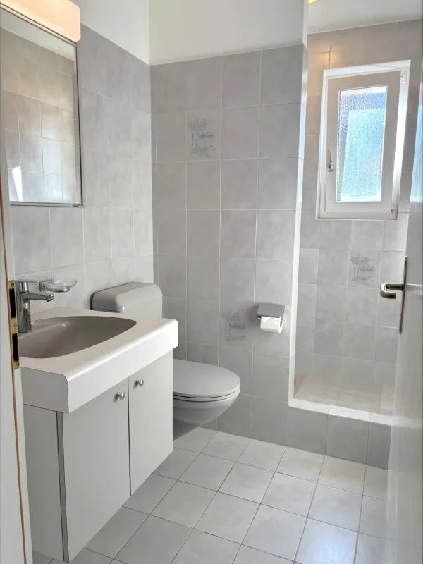 Maison unifamiliale spacieuse de 5,5 pièces avec annexe de 2,5 pièces, garage immense et jardin ensoleillé – photo 10 sur 30