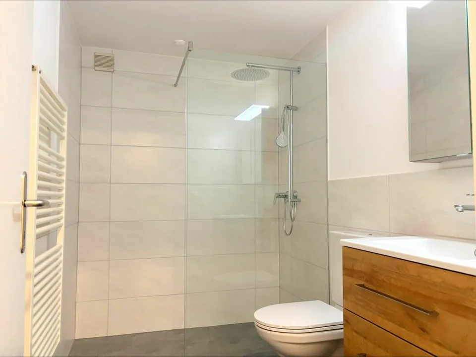 Maison unifamiliale spacieuse de 5,5 pièces avec annexe de 2,5 pièces, garage immense et jardin ensoleillé – photo 17 sur 30