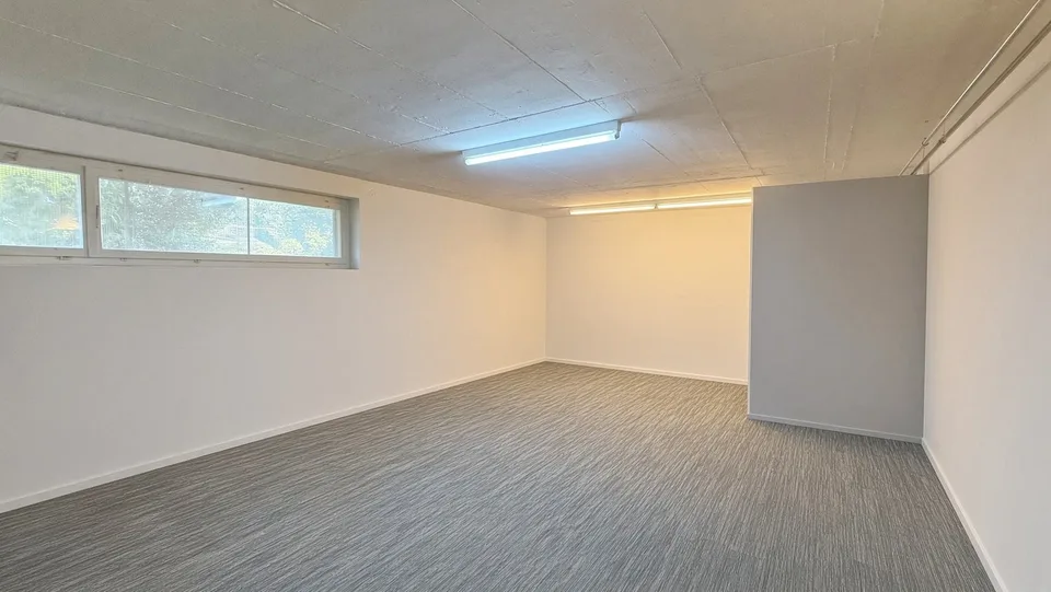 Studio / Hobby Room in St.Gallen – photo 2 of 3