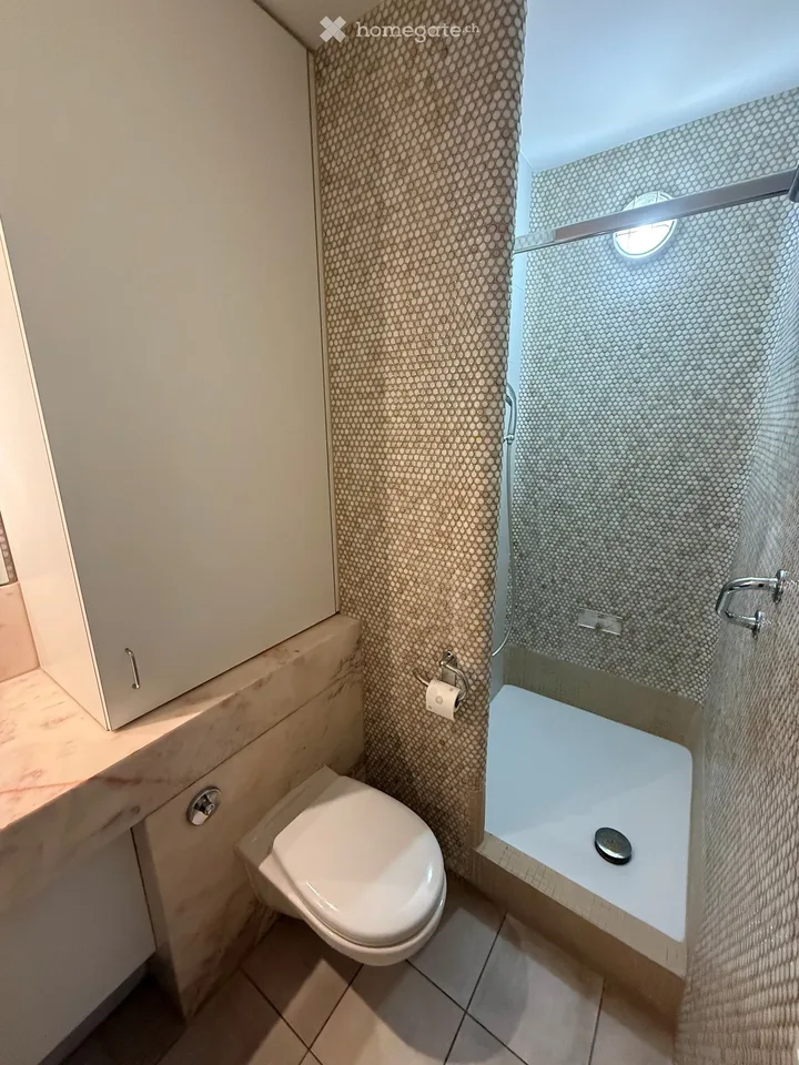 Grosszügige EG Wohnung am Steinbühlweg 21 in 4123 Allschwil inkl. Einstellhallenplatz – Foto 2 von 8
