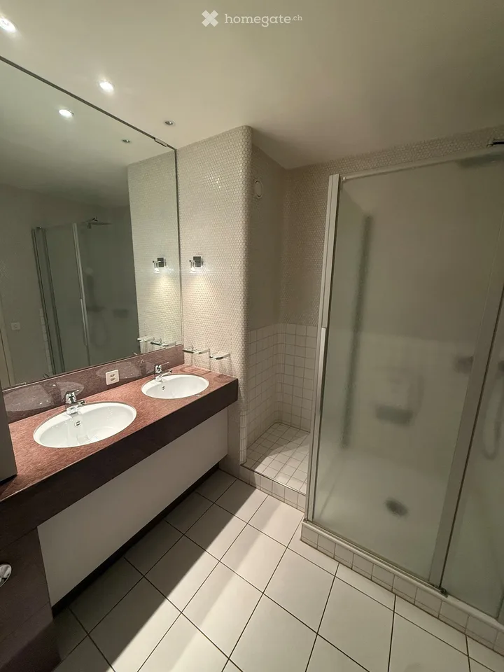 Grosszügige EG Wohnung am Steinbühlweg 21 in 4123 Allschwil inkl. Einstellhallenplatz – Foto 3 von 8
