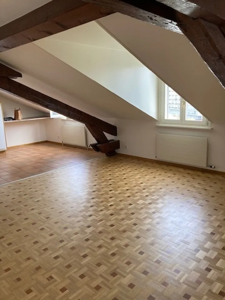 Wohnung mit 4.5 Zimmern im 5. Stock - Plainpalais – Foto 3 von 6