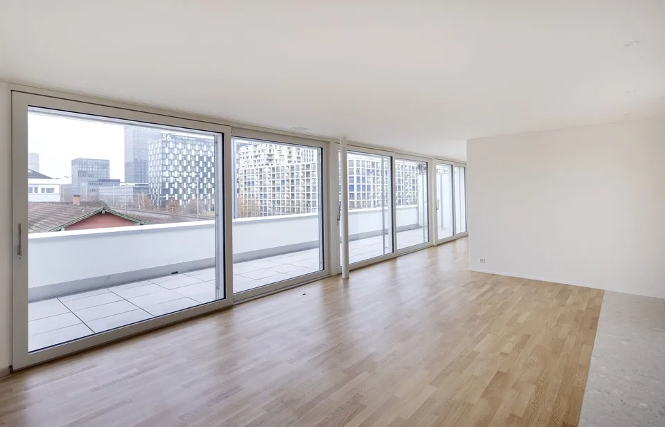 Habiter au-dessus des toits - appartement attique 2,5 pièces à louer – photo 8 sur 11