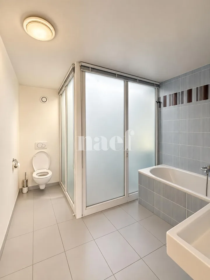 Duplex mit 6 Zimmern und zwei Terrassen, letztes Stockwerk, Versoix – Foto 13 von 13