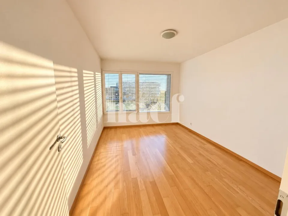 Duplex mit 6 Zimmern und zwei Terrassen, letztes Stockwerk, Versoix – Foto 12 von 13
