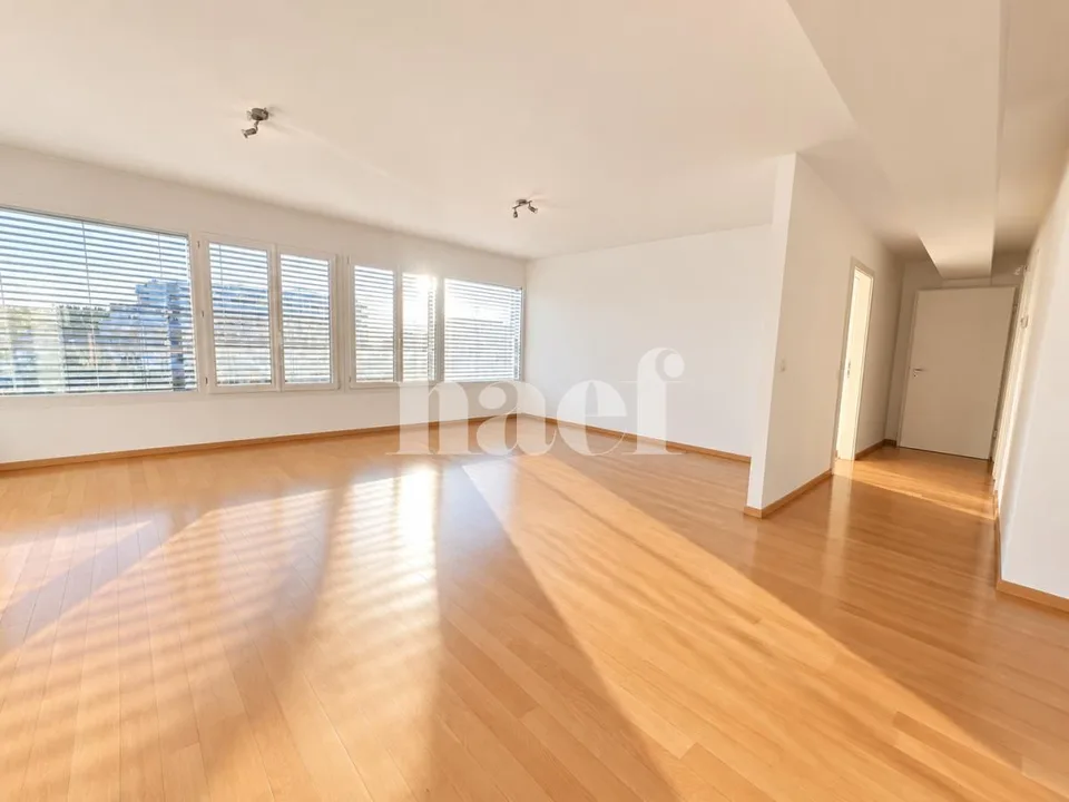 Duplex mit 6 Zimmern und zwei Terrassen, letztes Stockwerk, Versoix – Foto 5 von 13