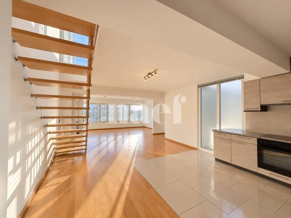 Duplex mit 6 Zimmern und zwei Terrassen, letztes Stockwerk, Versoix – Foto 3 von 13
