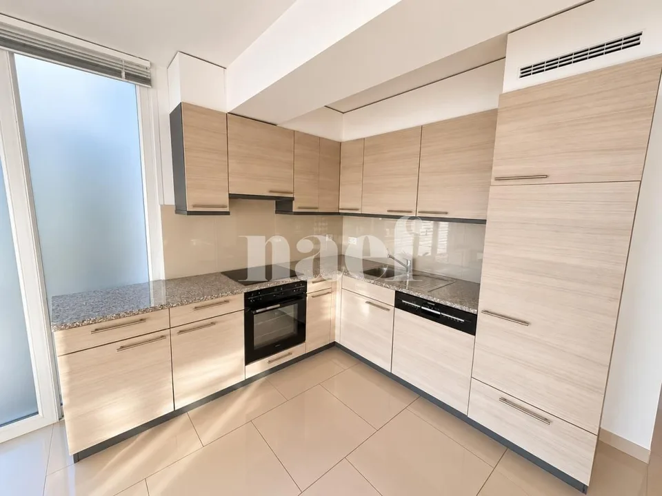 Duplex mit 6 Zimmern und zwei Terrassen, letztes Stockwerk, Versoix – Foto 4 von 13