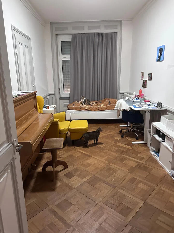 Stillvolle 5.5-Zimmer-Altbauwohnung im Herzen von Biel - direkt bei der Einkaufsmeile – Foto 12 von 19