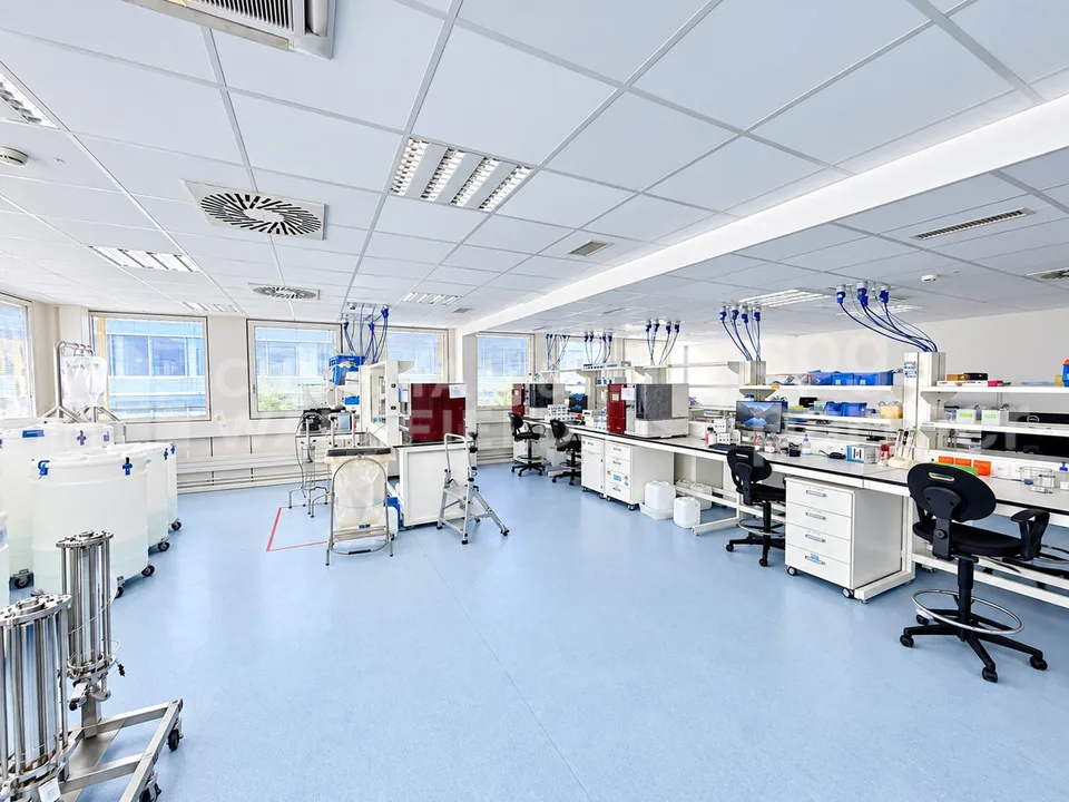1 500 m² Labor- und Büroflächen zur Miete in der Nähe von Genf - CTN 14 – Foto 3 von 13