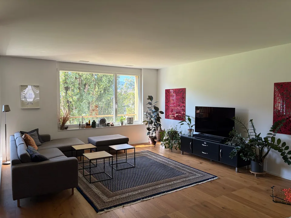 Charmant appartement meublé 3.5 pièces avec balcon et terrasse sur le toit au cœur de Lucerne – photo 3 sur 14