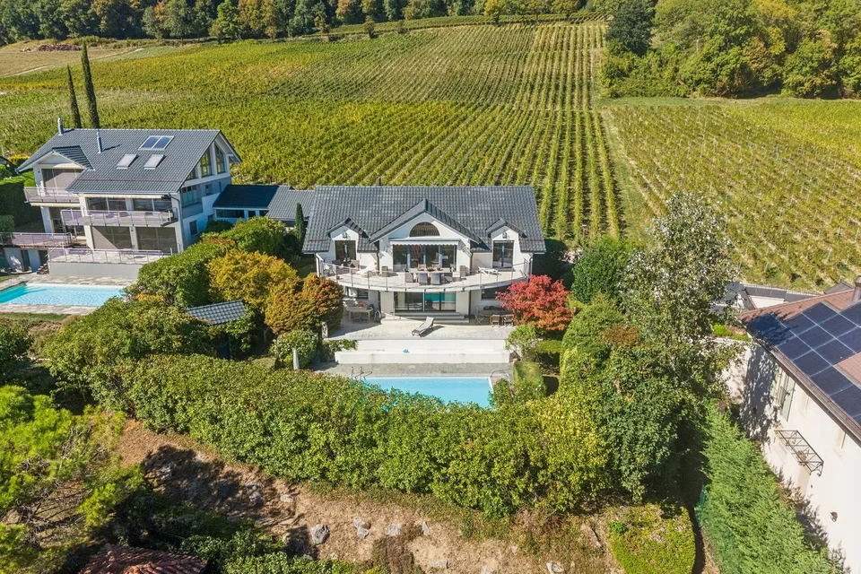 Einfamilienhaus zwischen Weinbergen und See – Foto 2 von 13