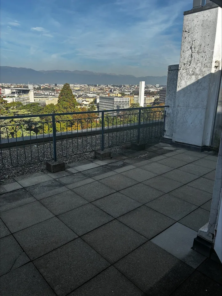 Meraviglioso appartamento triplex di 7 locali a Champel con terrazza – foto 10 di 10