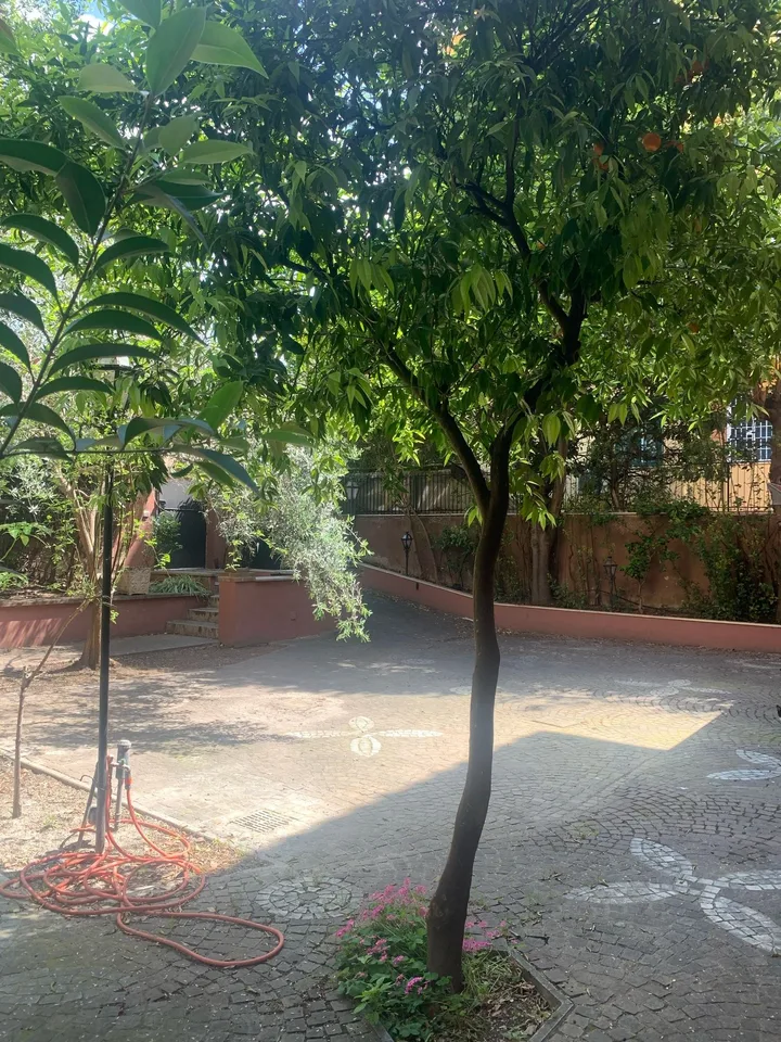 Luxus-Villa mit Garten im Herzen Roms renoviert – Foto 8 von 30