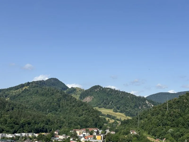6.5 Eigentumswohnung hoch über Trimbach zu verkaufen – Foto 9 von 9