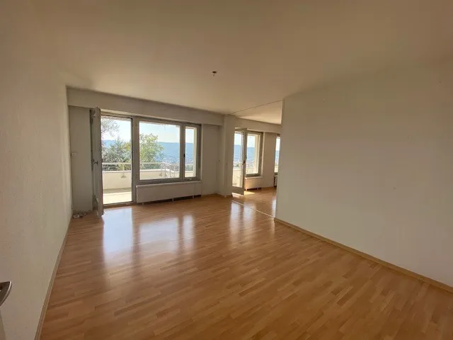 Le premier loyer est gratuit ! Appartement avec une vue imprenable sur la ville et le lac ! – photo 6 sur 11
